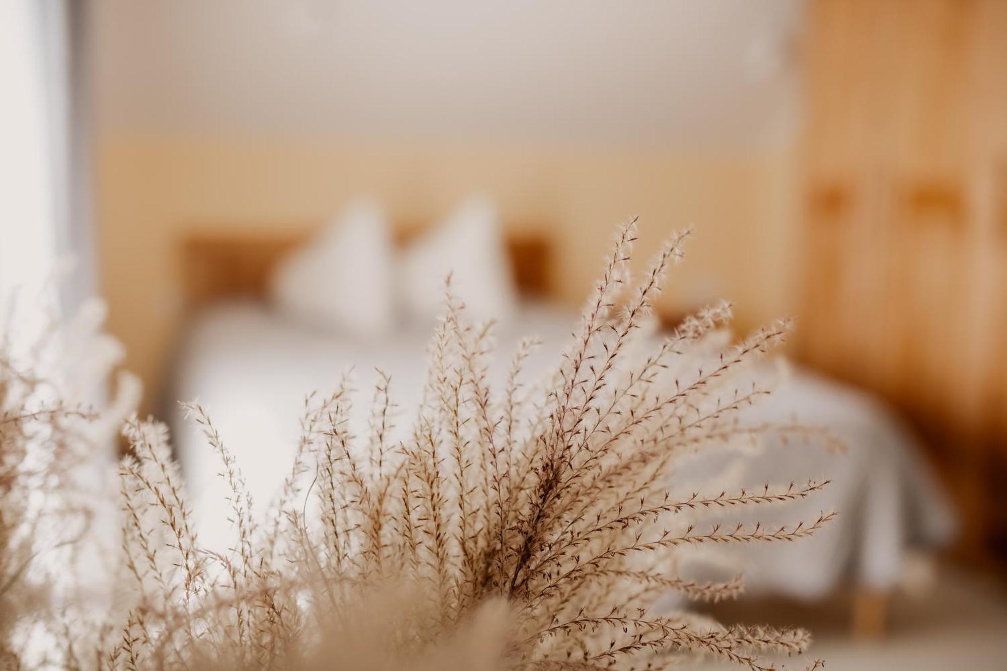 Saules Iela 2A Aparthotel Saldus Phòng bức ảnh